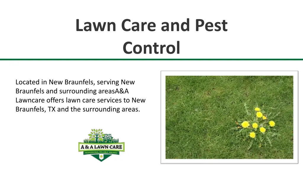 lawn care and pest control