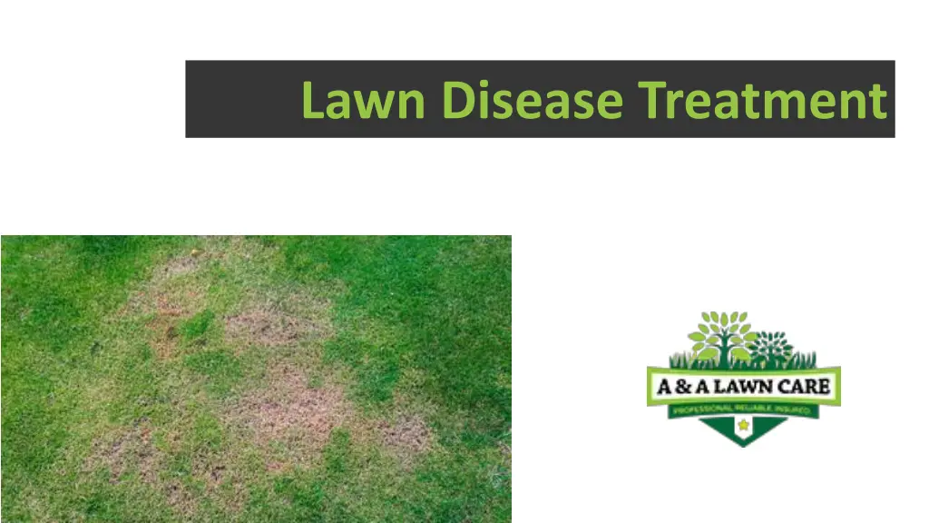 lawn disease treatment