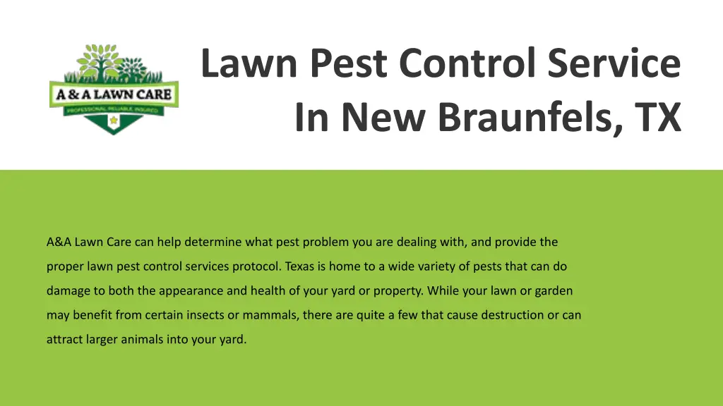 lawn pest control service in new braunfels tx