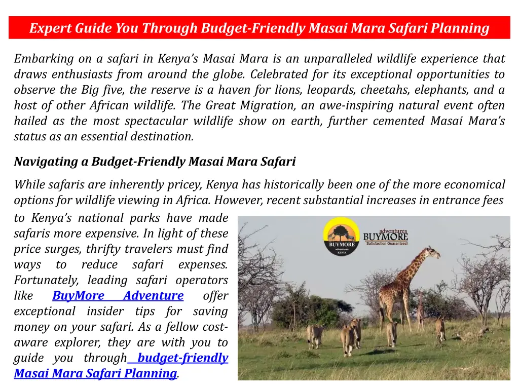 expert guide you through budget friendly masai