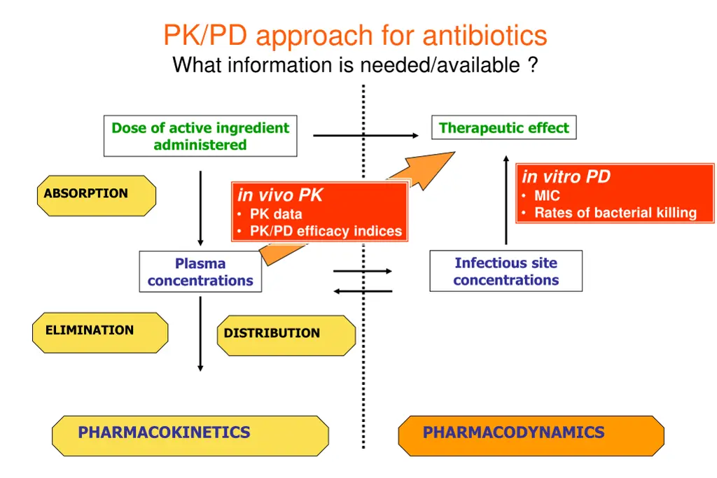 pk pd approach for antibiotics what information