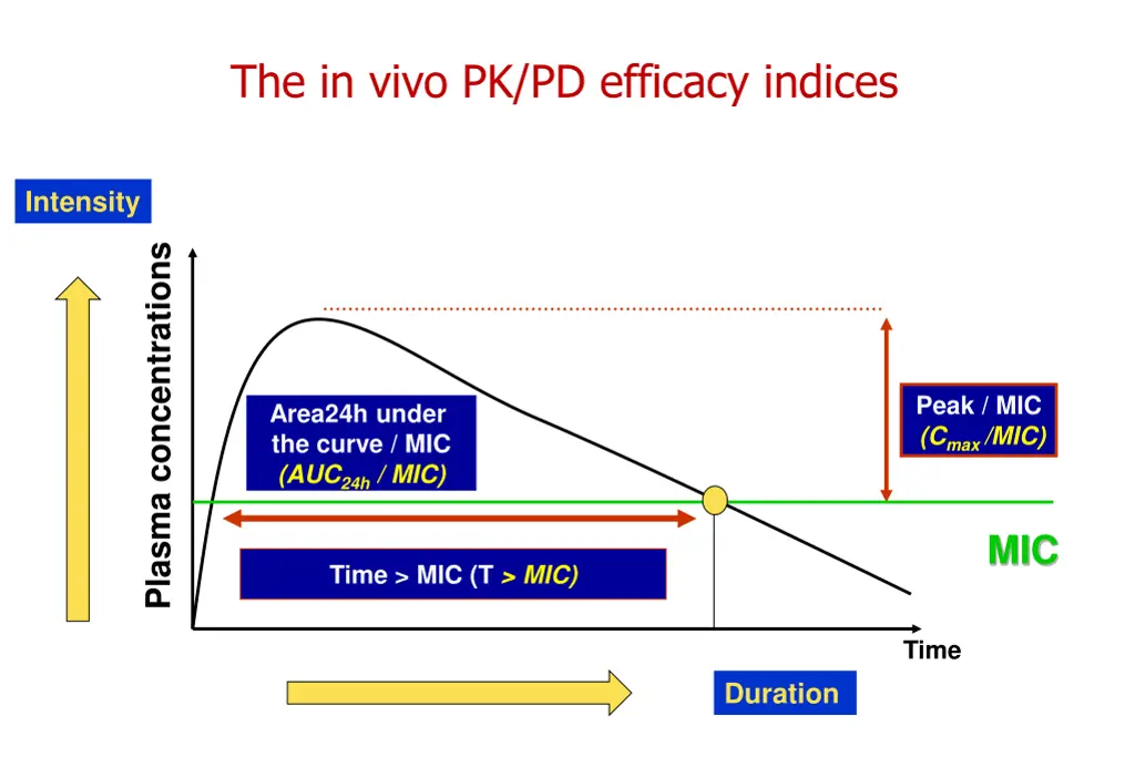 the in vivo pk pd efficacy indices 2