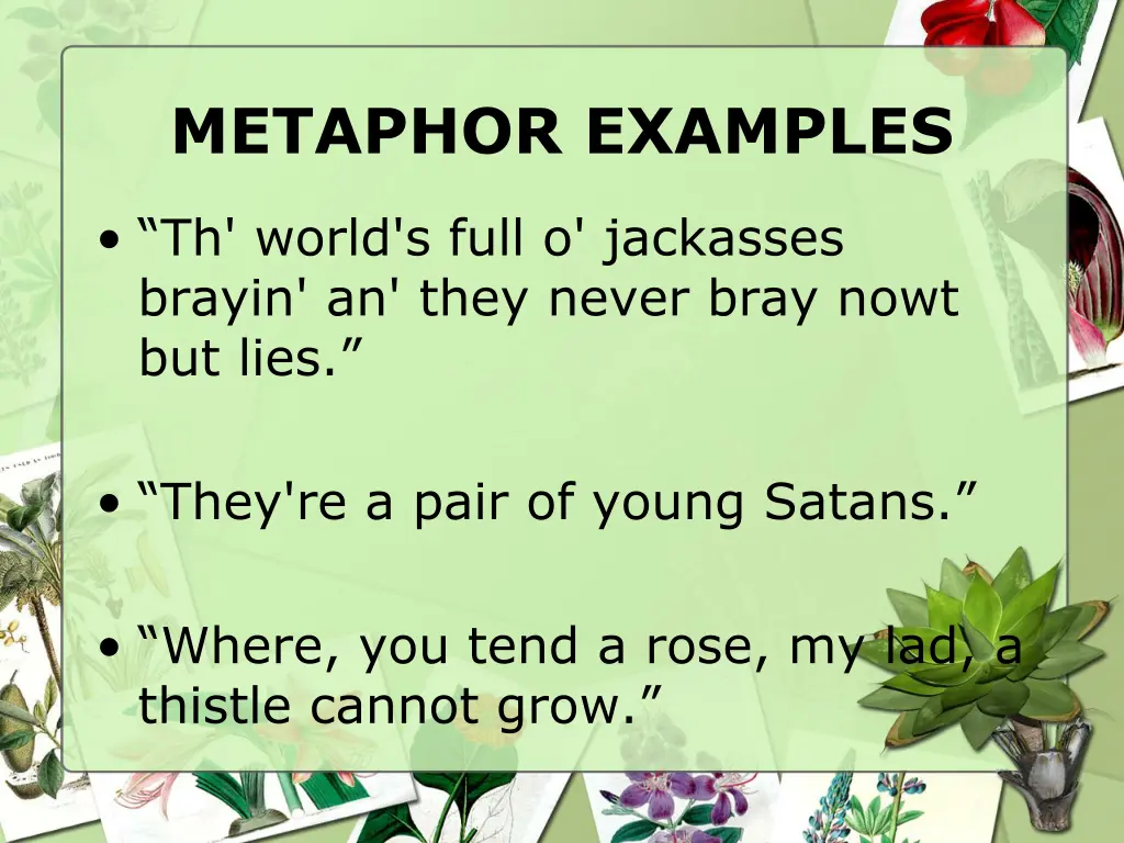 metaphor examples