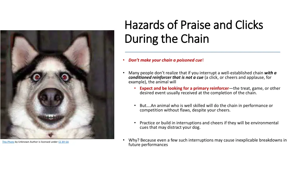 hazards of praise and clicks hazards of praise