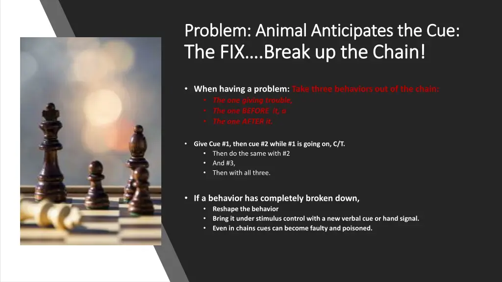 problem animal anticipates the cue problem animal