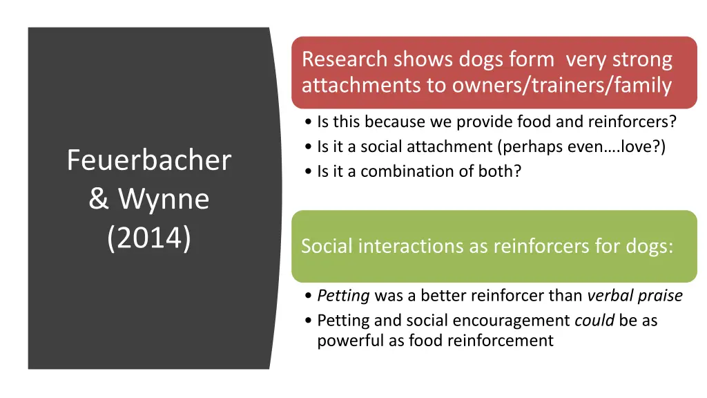 research shows dogs form very strong attachments