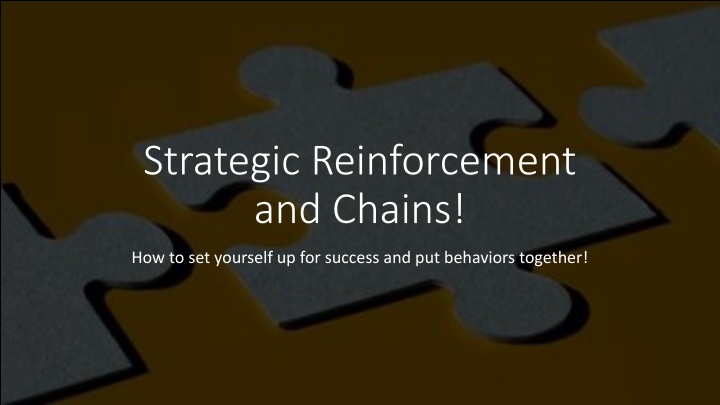 strategic reinforcement and chains