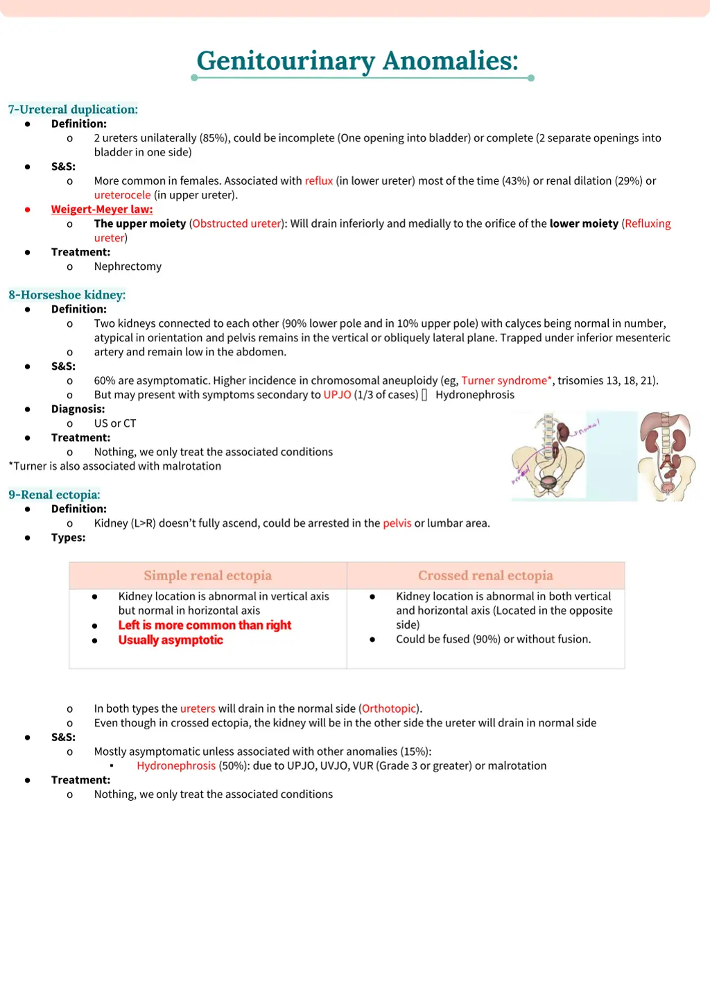 genitourinary anomalies 2