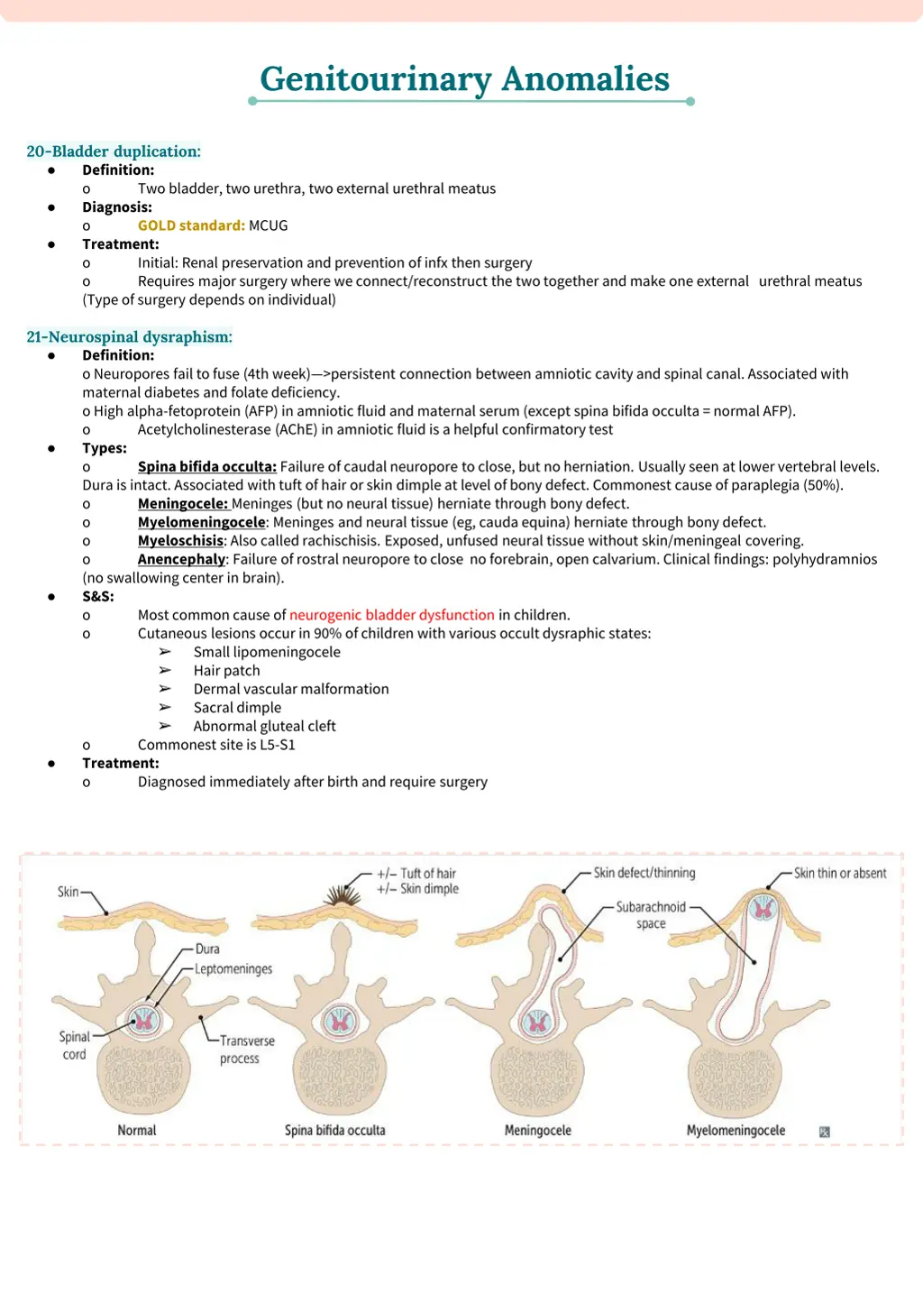 genitourinary anomalies 5