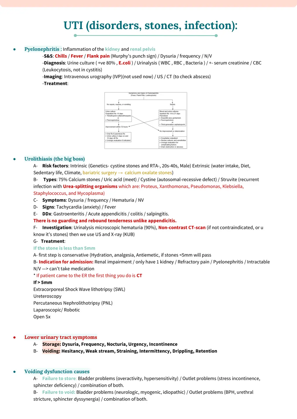 uti disorders stones infection 1