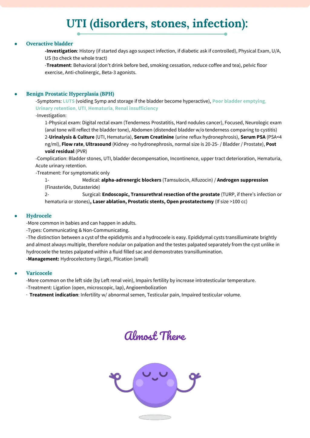 uti disorders stones infection 2