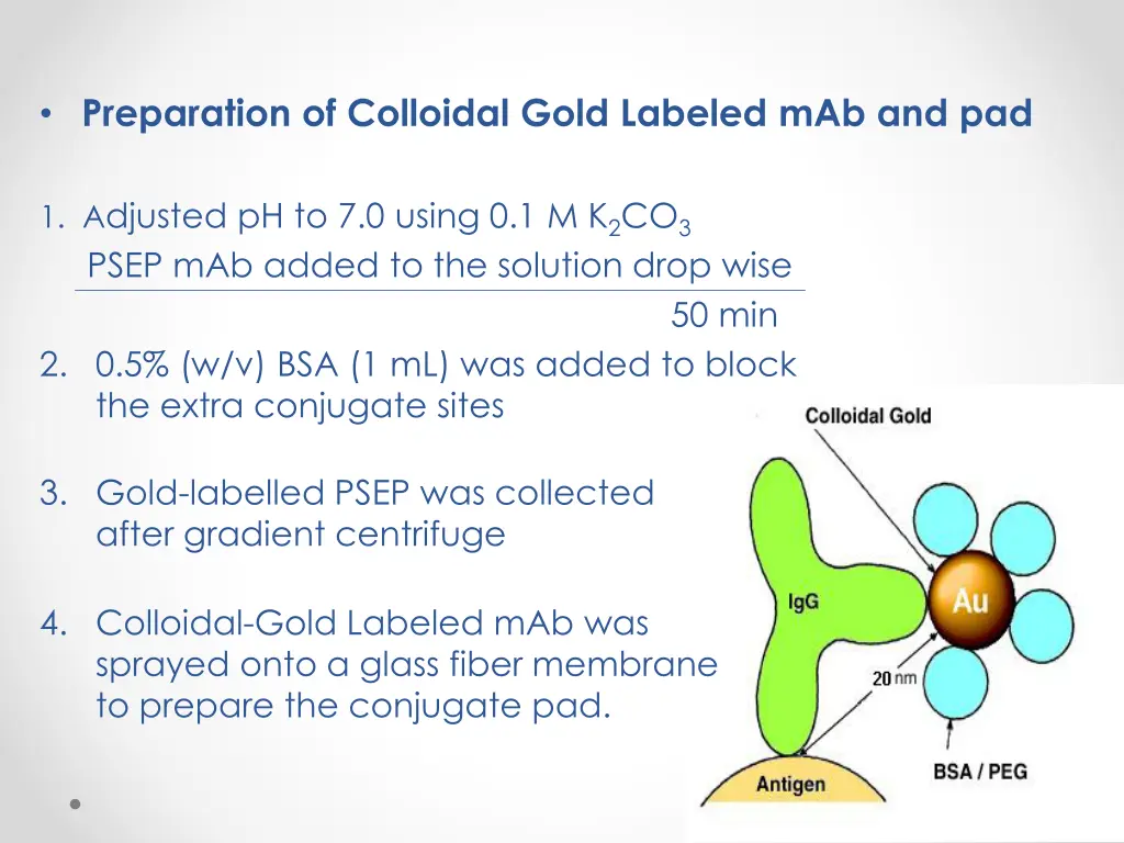 preparation of colloidal gold labeled mab and pad