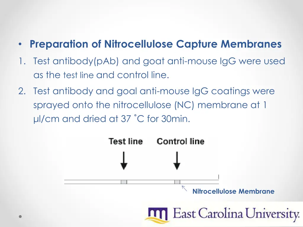 preparation of nitrocellulose capture membranes