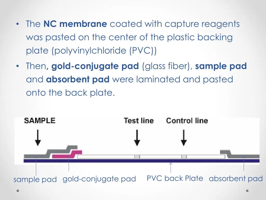 the nc membrane coated with capture reagents