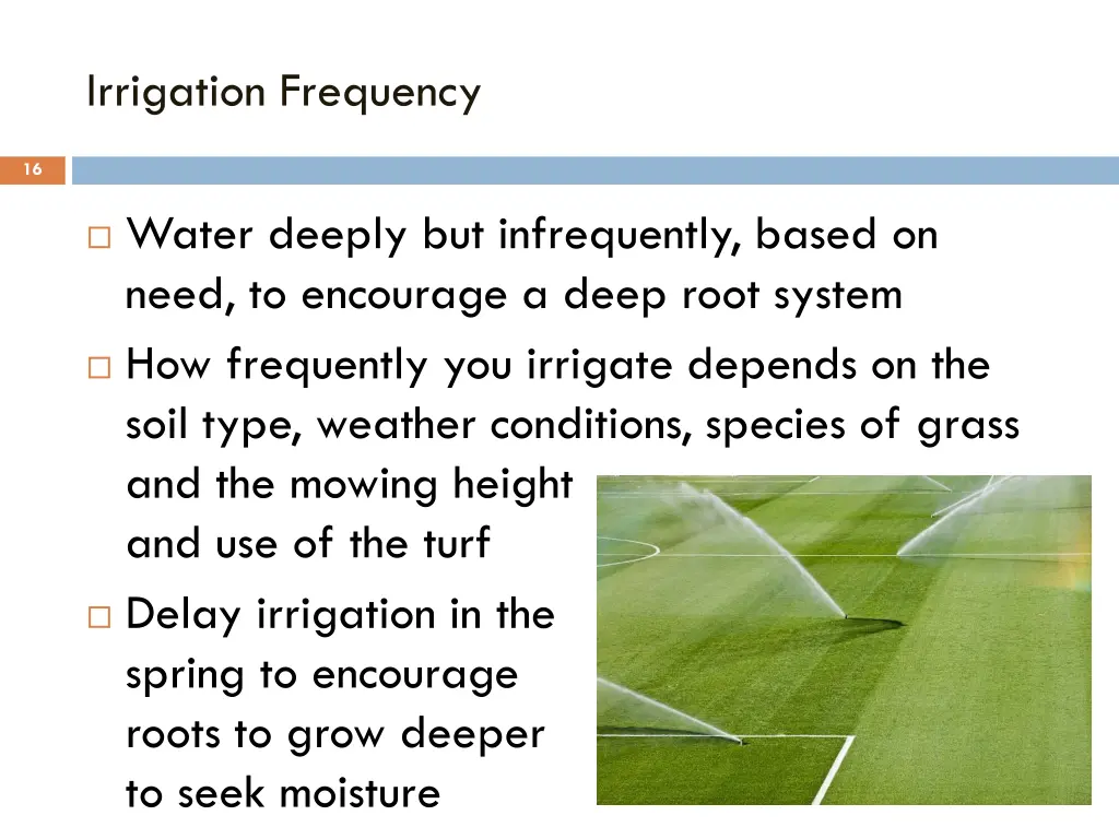 irrigation frequency