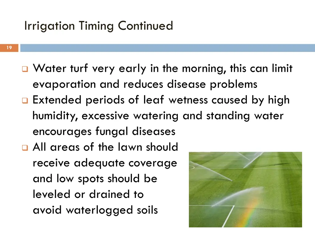 irrigation timing continued