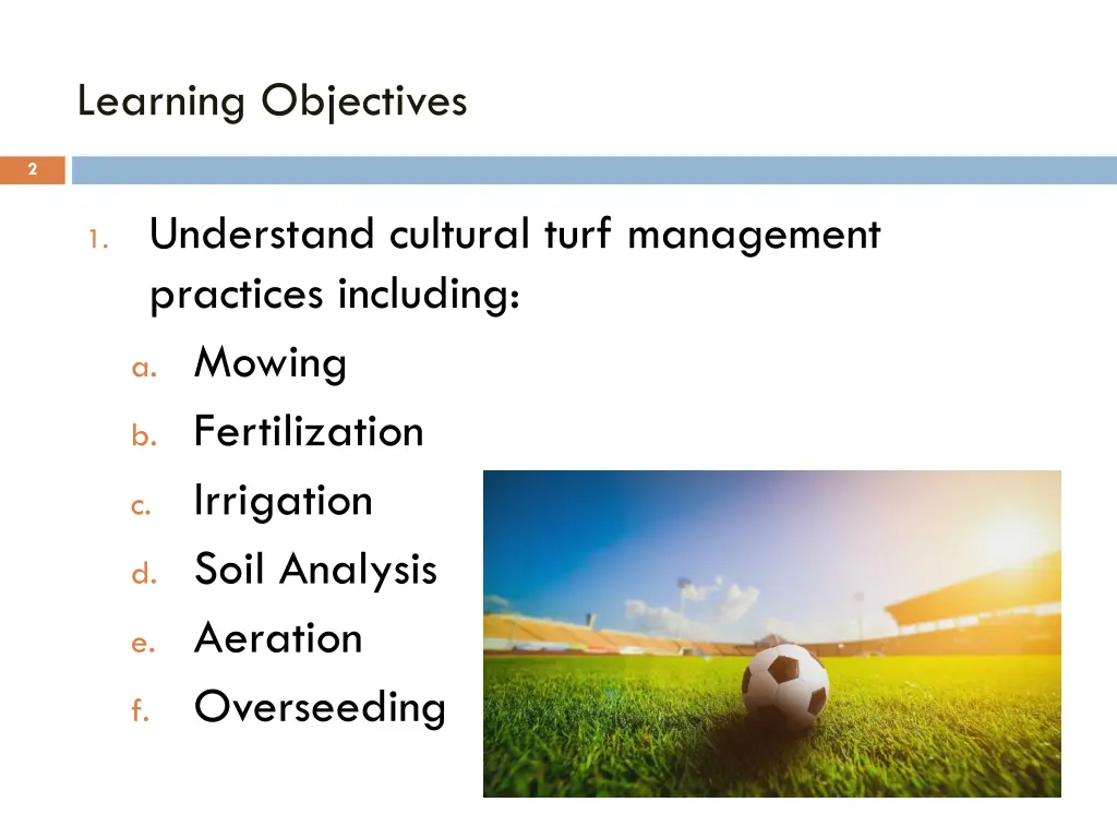 learning objectives