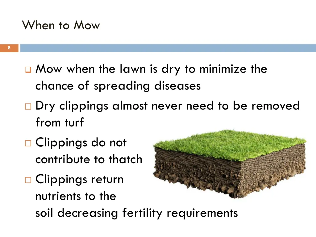 when to mow