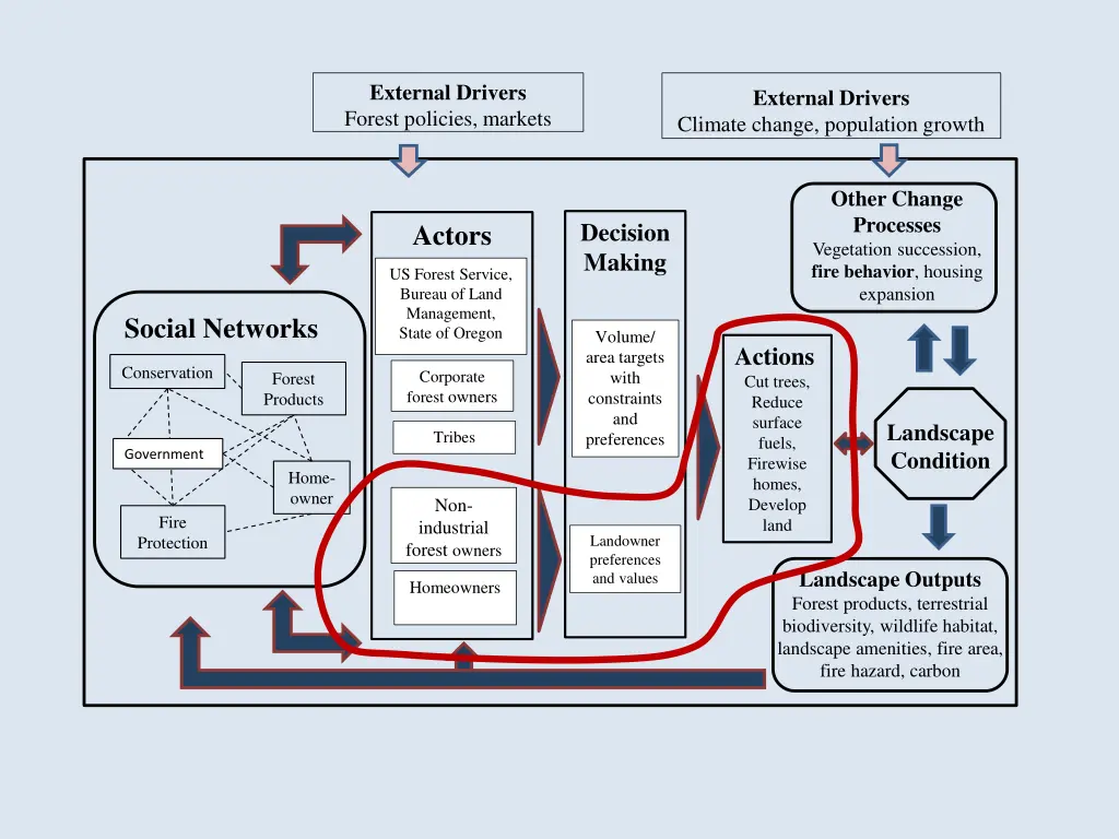 external drivers forest policies markets