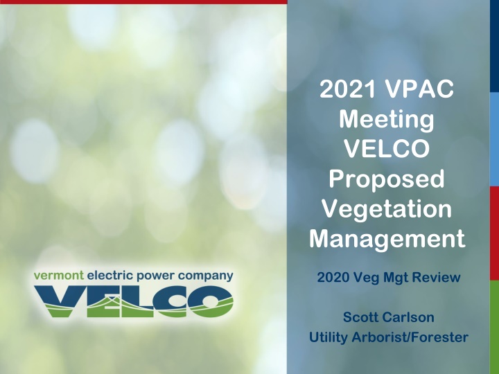 2021 vpac meeting velco proposed vegetation