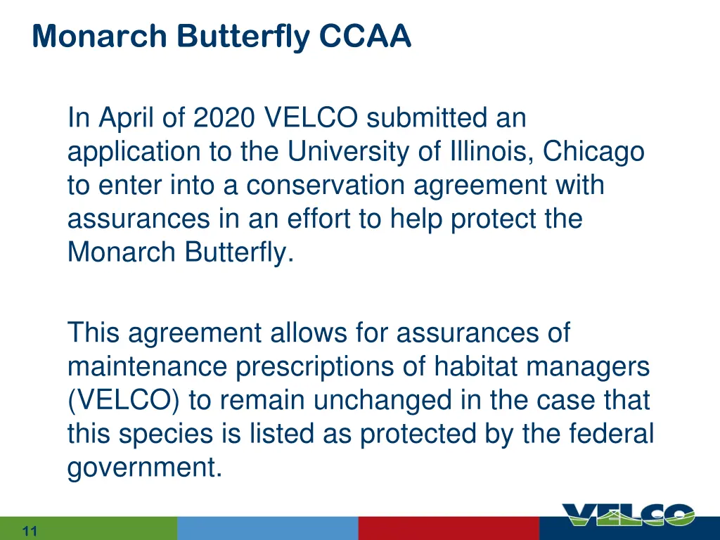 monarch butterfly ccaa