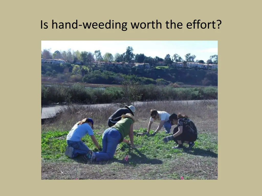 is hand weeding worth the effort