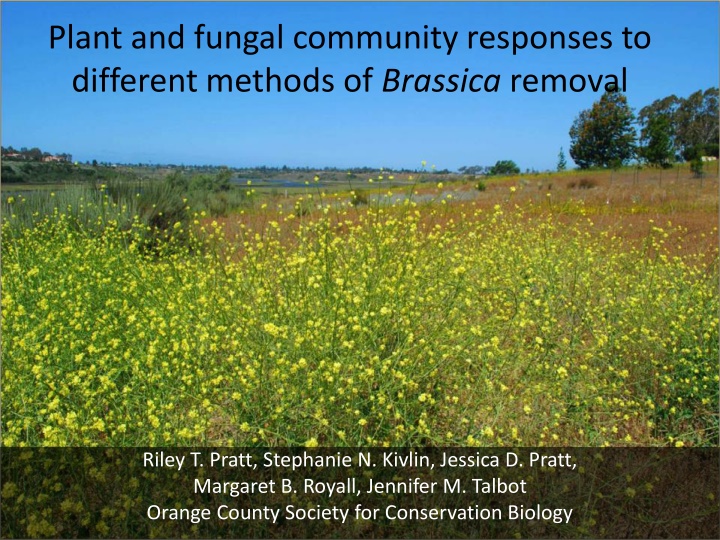 plant and fungal community responses to different