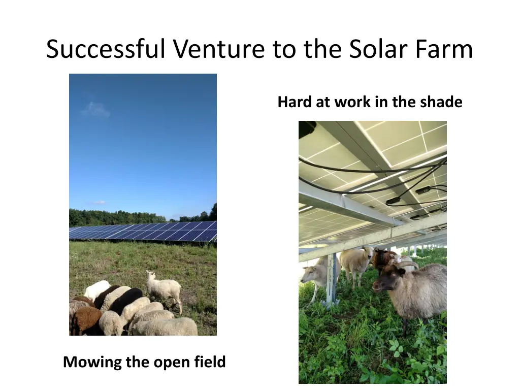 successful venture to the solar farm