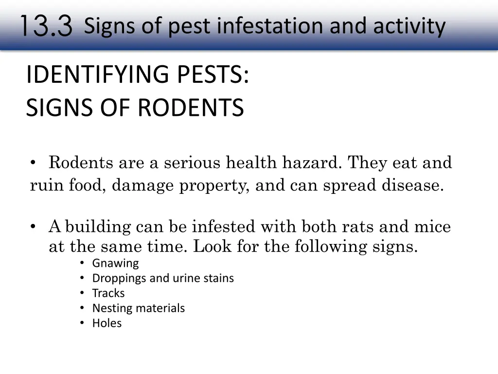 slide11