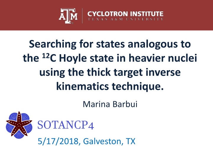 searching for states analogous to the 12 c hoyle