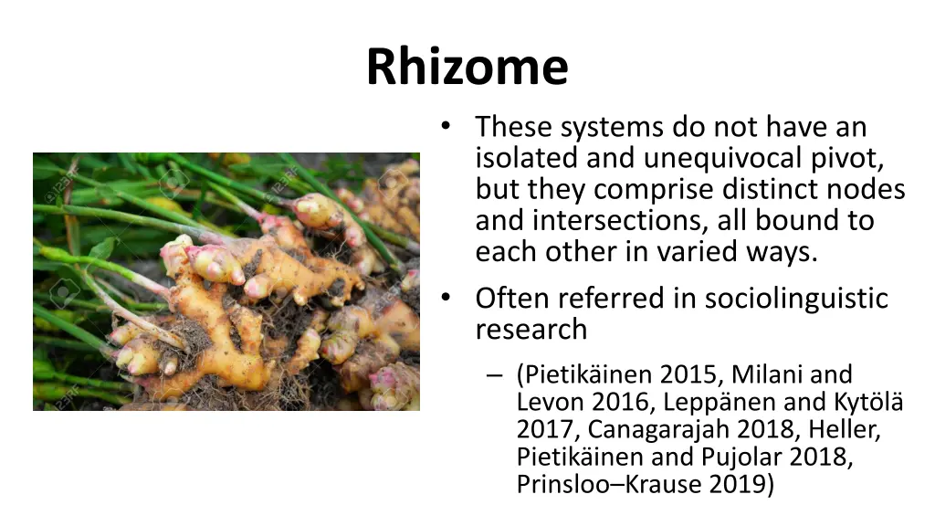 rhizome these systems do not have an isolated