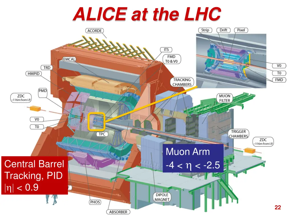 alice at the lhc