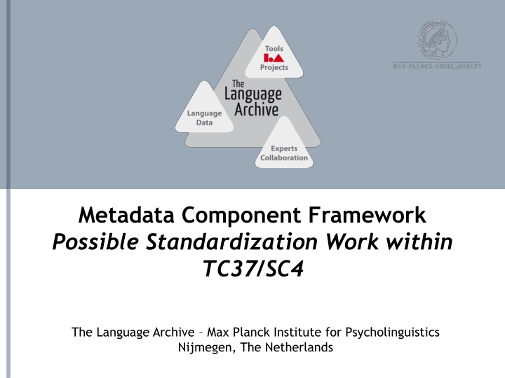 metadata component framework possible