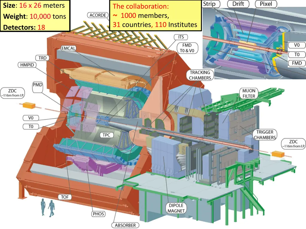 size 16 x 26 meters weight 10 000 tons detectors