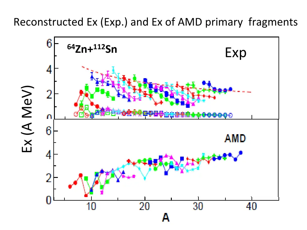 reconstructed ex exp and ex of amd primary