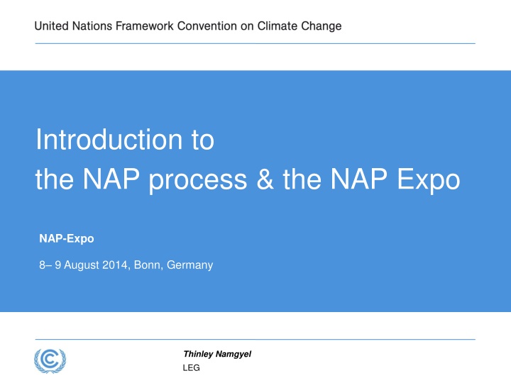 introduction to the nap process the nap expo