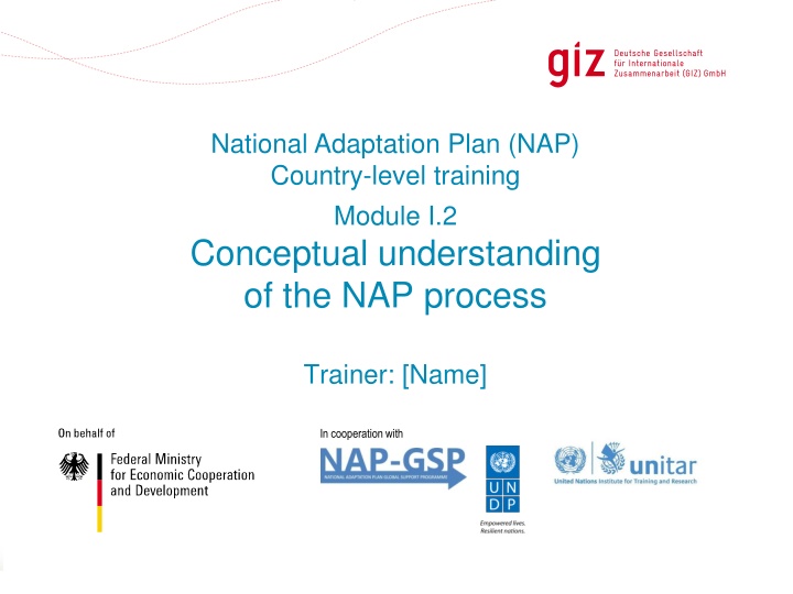 national adaptation plan nap country level