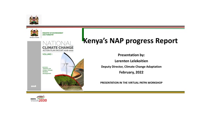 kenya s nap progress report