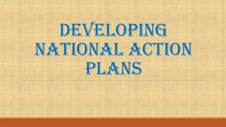 developing national action plans