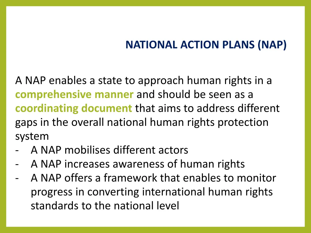 national action plans nap