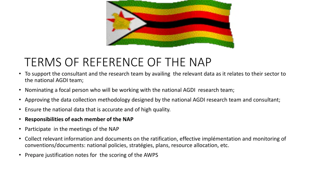 terms of reference of the nap to support