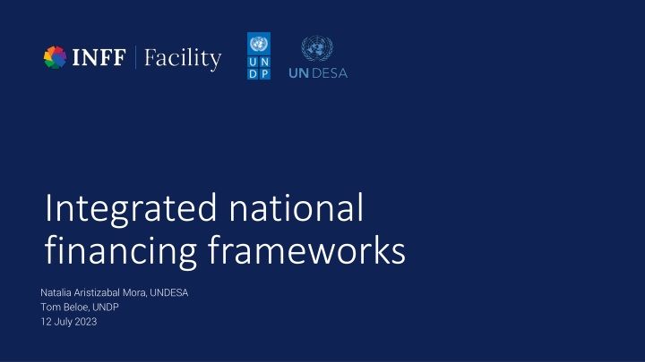 integrated national financing frameworks