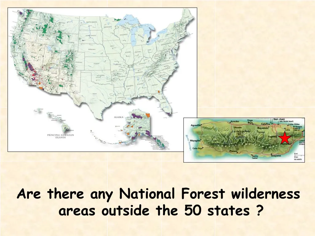 are there any national forest wilderness areas