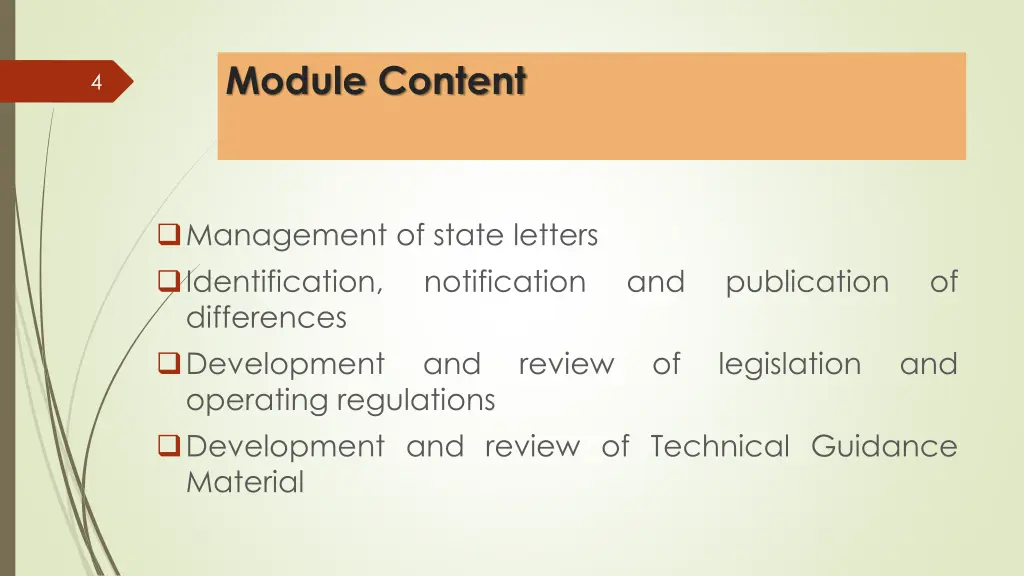 module content