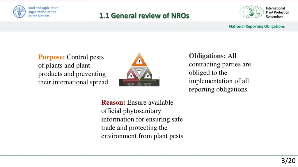 1 1 general review of nros