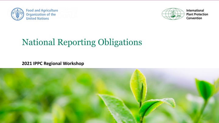 national reporting obligations