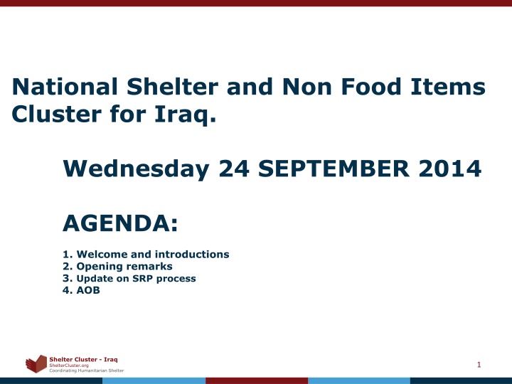 national shelter and non food items cluster