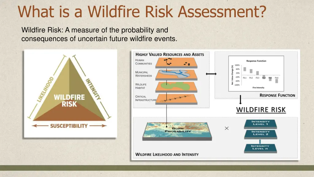 what is a wildfire risk assessment