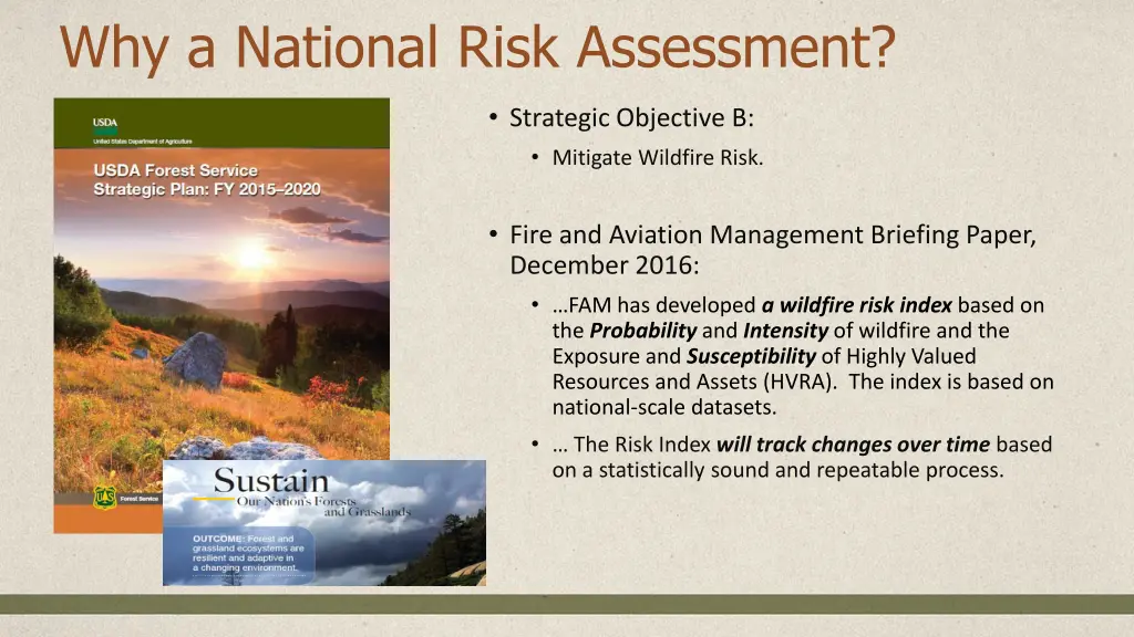 why a national risk assessment 1