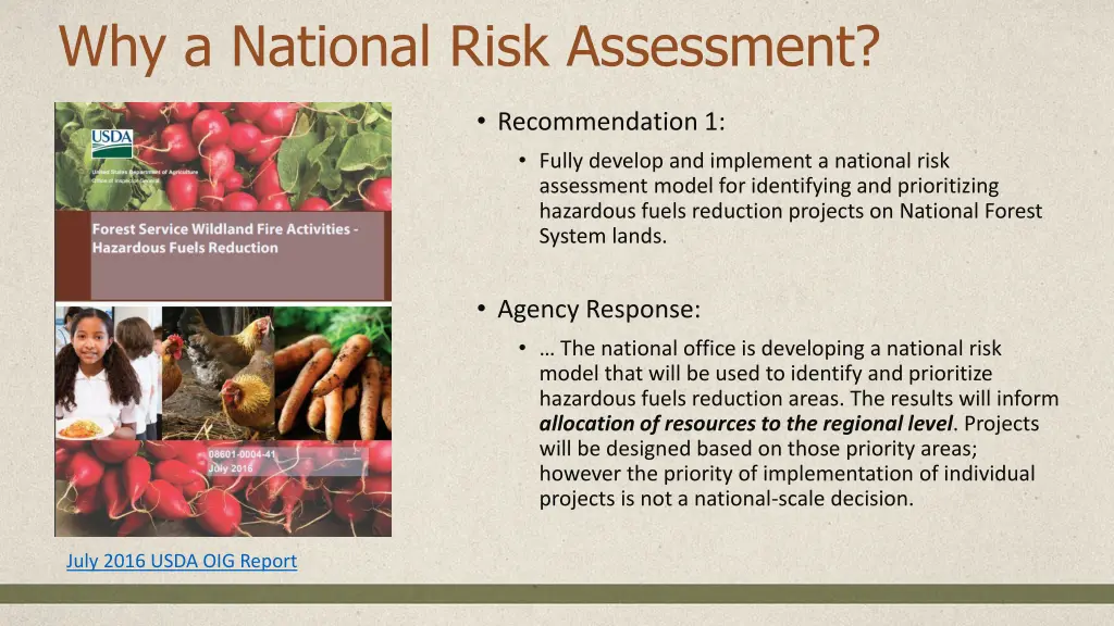 why a national risk assessment